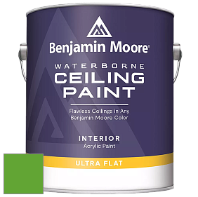 Benjamin Moore 508 Waterborne Ceiling Paint краска для потолков цвет 2032-20 Traffic Light Green