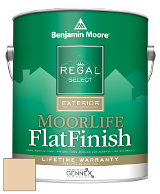 Benjamin Moore W105 Regal Select Exterior Paint-MoorLife Flat Finish краска цвет AF-325 