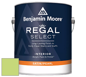 Benjamin Moore 550 Regal Select Waterborne Interior Pearl Finish краска цвет NCS S 0550-G40Y 