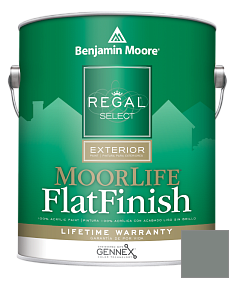 Краска Regal Select Exterior Paint-MoorLife Flat Finish (W105) цвет AC-18 BM AC-18