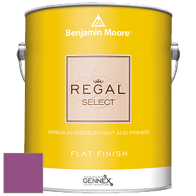 Benjamin Moore 547 Regal Select Waterborne Interior Flat Finish краска цвет 2075-30 Pre-Dawn Sky