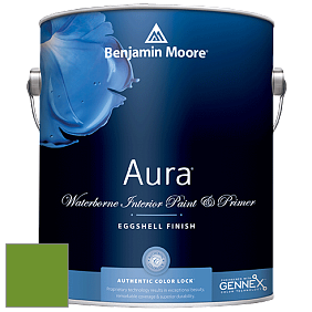 Benjamin Moore Aura 524 Waterborne Interior Eggshell Finish краска цвет 2029-10 Basil Green