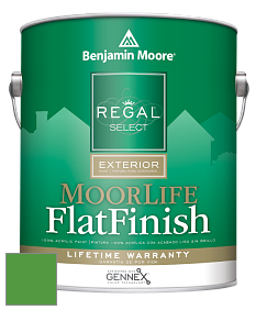 Benjamin Moore W105 Regal Select Exterior Paint-MoorLife Flat Finish краска цвет 2033-20 Peppermint Leaf