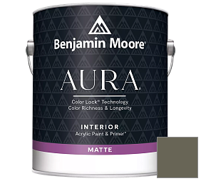 Краска Benjamin Moore Aura Interior Paint - Matte (522) цвет 1498 Forest Floor