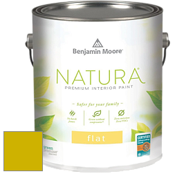Benjamin Moore 512 Natura Interior Flat Finish матовая краска цвет 2024-20 Eve Green