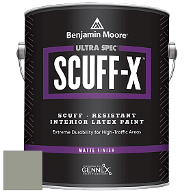 Benjamin Moore 484 Ultra Spec SCUFF-X Interior Matte Finish краска цвет NCS S 4005-G50Y 