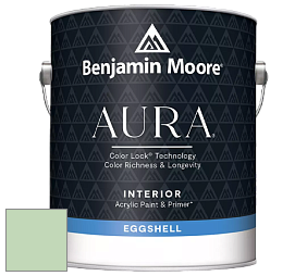 Benjamin Moore Aura 524 Waterborne Interior Eggshell Finish краска цвет NCS S 1020-G20Y 