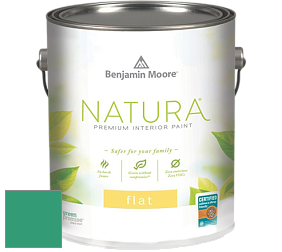 Benjamin Moore 512 Natura Interior Flat Finish матовая краска цвет 2043-30 Kelp Forest Green