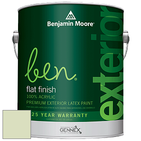 Benjamin Moore Ben 541 Waterborne Exterior Flat Finish краска цвет 540 Country Green