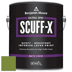 Benjamin Moore 484 Ultra Spec SCUFF-X Interior Matte Finish краска цвет NCS S 3060-G40Y 