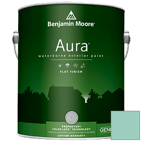 Краска Aura Waterborne Exterior Flat Finish (629) цвет 647 Fun 'n Games