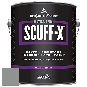 Benjamin Moore 484 Ultra Spec SCUFF-X Interior Matte Finish краска цвет NCS S 4502-G 