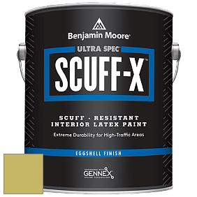 Benjamin Moore 485 Ultra Spec SCUFF-X Interior Eggshell Finish краска цвет NCS S 2040-G80Y 