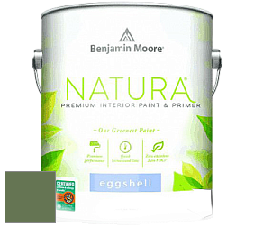Benjamin Moore 513 Natura Interior Eggshell Finish краска с блеском цвет NCS S 5030-G30Y 