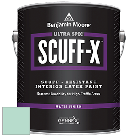 Benjamin Moore 484 Ultra Spec SCUFF-X Interior Matte Finish краска цвет 598 Surf 'n Turf