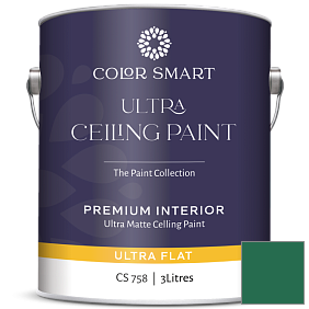 Краска COLOR SMART CS 758 ULTRA CEILING PAINT ультраматовая краска цвет 2044-10 Green