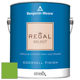 Benjamin Moore 549 Regal Select Waterborne Interior Eggshell Finish краска цвет 2030-30 Lucky Charm Green