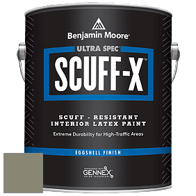 Benjamin Moore 485 Ultra Spec SCUFF-X Interior Eggshell Finish краска цвет NCS S 5010-G70Y 