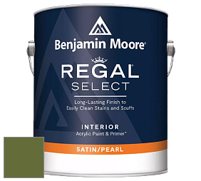 Benjamin Moore 550 Regal Select Waterborne Interior Pearl Finish краска цвет NCS S 4550-G40Y 