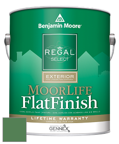 Benjamin Moore W105 Regal Select Exterior Paint-MoorLife Flat Finish краска цвет 2036-20 Irish Moss