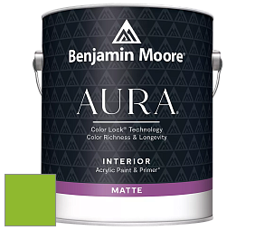 Benjamin Moore Aura 522 Interior Paint - Matte краска цвет 2031-30 Sweet Pea