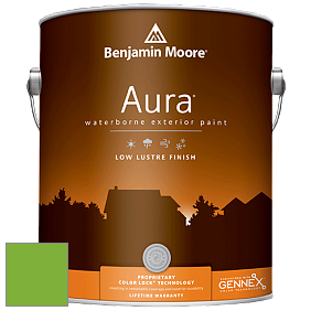 Benjamin Moore Aura 634 Waterborne Exterior Low Lustre Finish краска цвет 2030-30 Lucky Charm Green