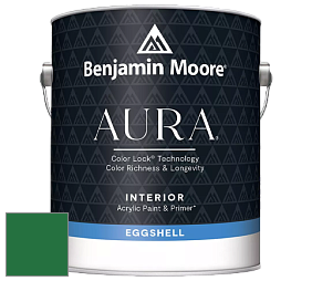 Benjamin Moore Aura 524 Waterborne Interior Eggshell Finish краска цвет NCS S 3560-G10Y 