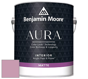 Benjamin Moore Aura 522 Interior Paint - Matte краска цвет NCS S 2030-R30B 