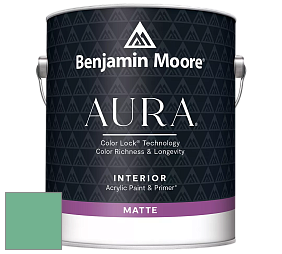 Benjamin Moore Aura 522 Interior Paint - Matte краска цвет NCS S 2040-G 
