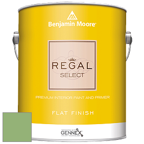 Benjamin Moore 547 Regal Select Waterborne Interior Flat Finish краска цвет NCS S 2040-G30Y 