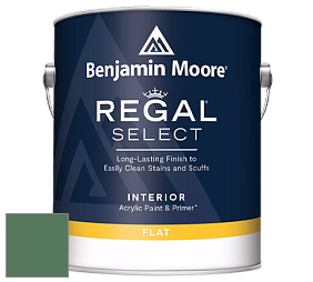 Benjamin Moore 547 Regal Select Waterborne Interior Flat Finish краска цвет NCS S 5030-G10Y 