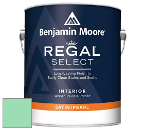 Benjamin Moore 550 Regal Select Waterborne Interior Pearl Finish краска цвет NCS S 0540-G 