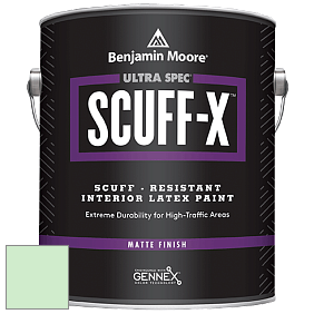 Benjamin Moore 484 Ultra Spec SCUFF-X Interior Matte Finish краска цвет 2033-60 Mantis Green