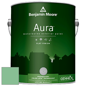 Benjamin Moore Aura 629 Waterborne Exterior Flat Finish краска цвет 2036-40 Meadowlands Green