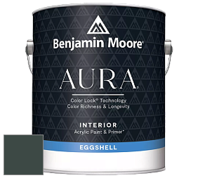Benjamin Moore Aura 524 Waterborne Interior Eggshell Finish краска цвет NCS S 8010-B90G 