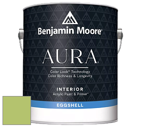 Benjamin Moore Aura 524 Waterborne Interior Eggshell Finish краска цвет 2029-40 Stem Green