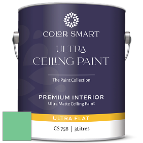 COLOR SMART CS 758 ULTRA CEILING PAINT ультраматовая краска цвет 2037-40 Adam Green