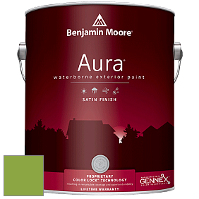 Benjamin Moore Aura 631 Waterborne Exterior Satin Finish краска цвет 2029-30 Rosemary Green