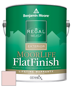 Benjamin Moore W105 Regal Select Exterior Paint-MoorLife Flat Finish краска цвет 2088-70 Fond Memory