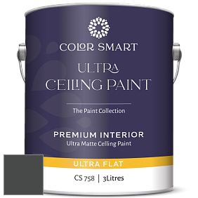 COLOR SMART CS 758 ULTRA CEILING PAINT ультраматовая краска цвет 2135-10 Blacktop