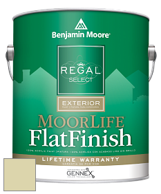 Benjamin Moore W105 Regal Select Exterior Paint-MoorLife Flat Finish краска цвет 2147-50 Pale Sea Mist