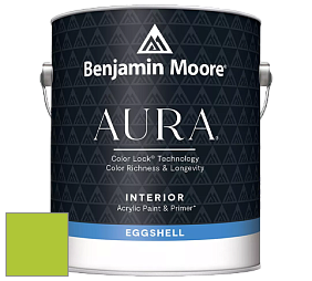 Benjamin Moore Aura 524 Waterborne Interior Eggshell Finish краска цвет NCS S 0575-G40Y 