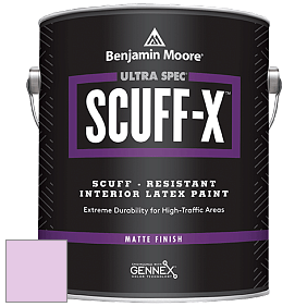Benjamin Moore 484 Ultra Spec SCUFF-X Interior Matte Finish краска цвет 2074-60 Bunny Nose Pink