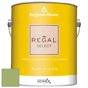 Benjamin Moore 547 Regal Select Waterborne Interior Flat Finish краска цвет NCS S 2040-G40Y 