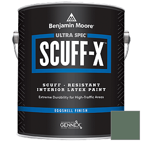 Краска Ultra Spec SCUFF-X Interior Eggshell Finish (485) цвет 637 Gothic Green