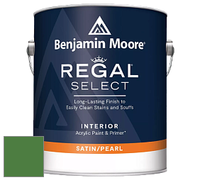 Benjamin Moore 550 Regal Select Waterborne Interior Pearl Finish краска цвет 2034-20 Vine Green