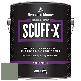 Benjamin Moore 484 Ultra Spec SCUFF-X Interior Matte Finish краска цвет RAL 7033 