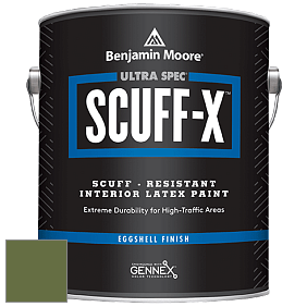 Benjamin Moore 485 Ultra Spec SCUFF-X Interior Eggshell Finish краска цвет NCS S 5040-G40Y 