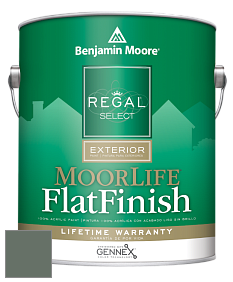 Benjamin Moore W105 Regal Select Exterior Paint-MoorLife Flat Finish краска цвет 700 Enchanted Forest