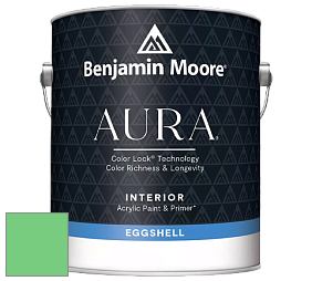 Benjamin Moore Aura 524 Waterborne Interior Eggshell Finish краска цвет NCS S 0560-G10Y 